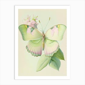 Brimstone Butterfly Vintage Pastel 2 Art Print