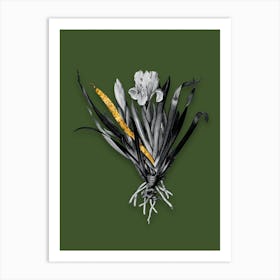 Vintage Crimean Iris Black and White Gold Leaf Floral Art on Olive Green n.0428 Art Print