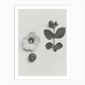 Hibiscus Flower Photo Collage 1 Art Print