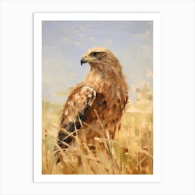 Bird Painting Hawk 4 Art Print