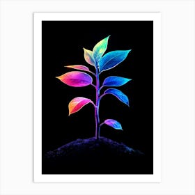 Rainbow Plant On Black Background Art Print