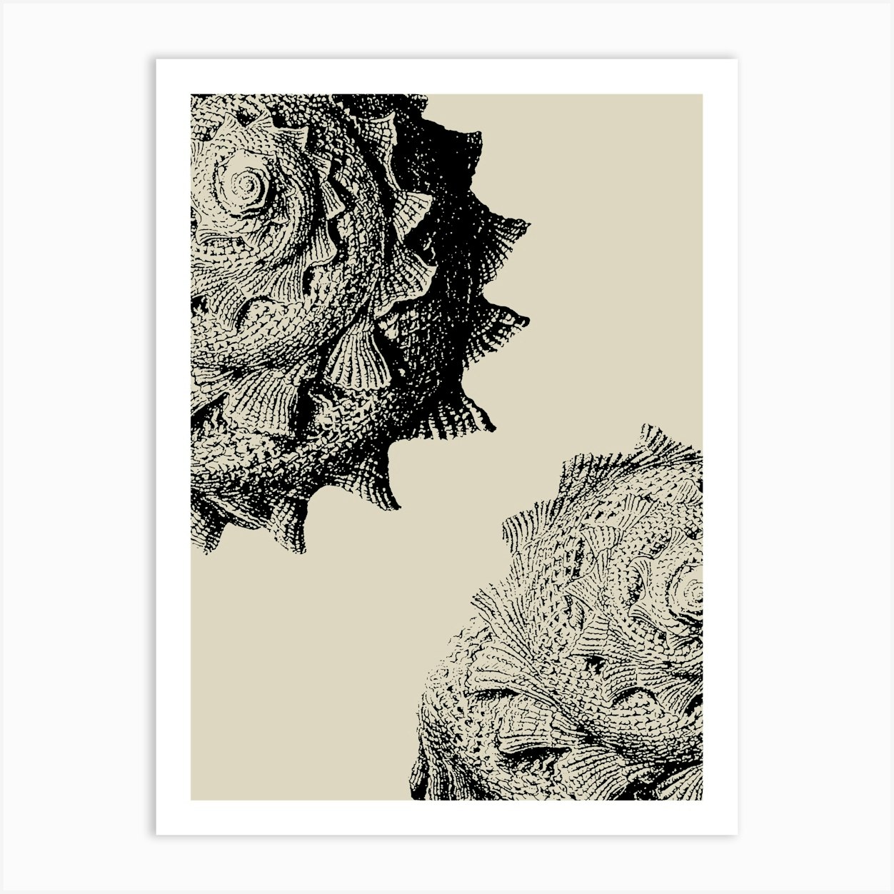 Seashell in Black, Beach Decor, Minimalist Coastal Art 1 Art Print by Articraft