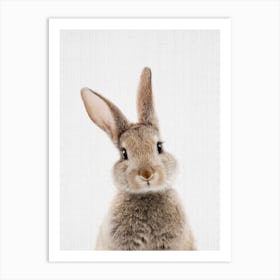 Peekaboo Bunny Art Print