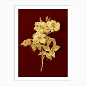 Vintage Rose of Castile Botanical in Gold on Red n.0360 Art Print