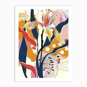 Colourful Flower Illustration Kangaroo Paw Flower 3 Art Print