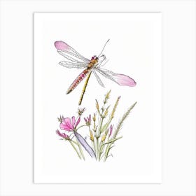 Dragonfly On Flower Pencil Illustration 1 Art Print