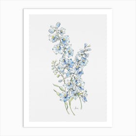 Sky Blue Delphinium Art Print