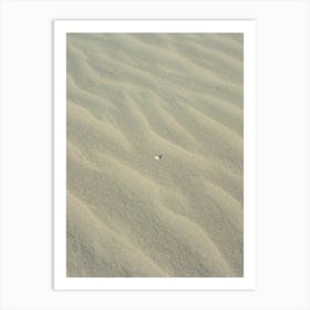 Sullivan's Island VI on Film Art Print