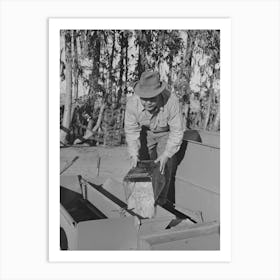 Salinas, California, Putting Seed Into The Planter Used In Guayule Nursery Of The Intercontinental Rubber Producers By 1 Art Print