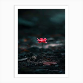 Lotus Flower 46 Art Print