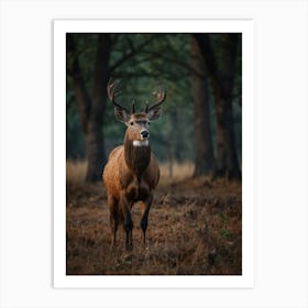 Deer In The Woods Art Print