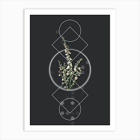 Vintage White Broom Botanical with Geometric Line Motif and Dot Pattern n.0408 Art Print