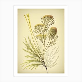 Fennel Seed Spices And Herbs Retro Drawing 1 Art Print