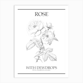 Rose With Dewdrops Line Drawing 2 Poster Art Print