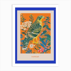 Spring Birds Poster Harrier 1 Art Print