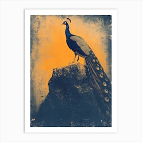 Orange & Blue Peacock On A Rock 1 Art Print