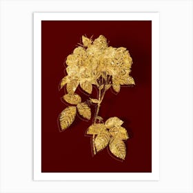 Vintage Italian Damask Rose Botanical in Gold on Red n.0107 Art Print