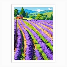 Lavender Field 1 Art Print