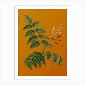 Vintage Tree of Heaven Botanical on Sunset Orange n.0383 Art Print