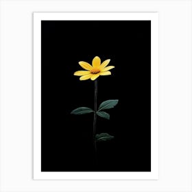 Single Yellow Flower 26 Art Print