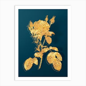 Vintage Double Moss Rose Botanical in Gold on Teal Blue n.0015 Art Print