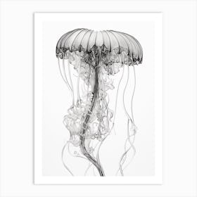 Portuguese Man Of War Jellyfish 7 Art Print