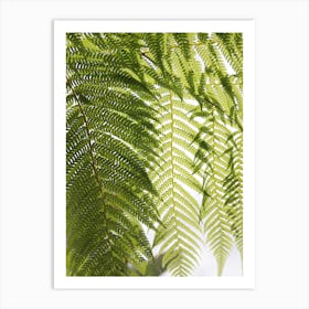 Plant Texture Green Art Print
