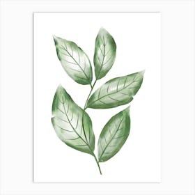 Green Watercolor Leaves - One Set Art Print