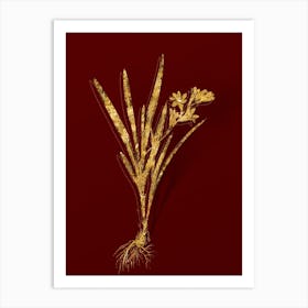 Vintage Gladiolus Xanthospilus Botanical in Gold on Red Art Print