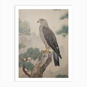 Vintage Hawk Drawing Art Print