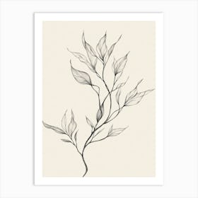 Ivy Drawing Art Print