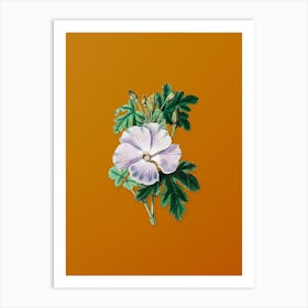 Vintage Wray's Hibiscus Flower Botanical on Sunset Orange Art Print