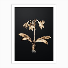 Gold Botanical Netted Veined Amaryllis on Wrought Iron Black n.1393 Art Print