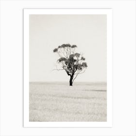 The Lone Tree Art Print