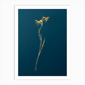 Vintage Gladiolus Watsonius Botanical in Gold on Teal Blue Art Print
