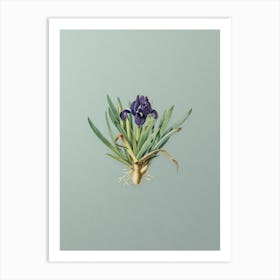 Vintage Pygmy Iris Botanical Art on Mint Green n.0381 Art Print