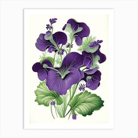 Violets Floral 2 Botanical Vintage Poster Flower Art Print