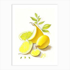Lemon Peel Spices And Herbs Pencil Illustration 1 Art Print