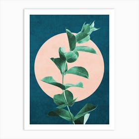 Botanical 3 Art Print
