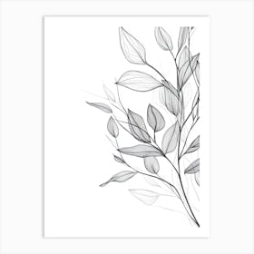 Branch Of Leaves 2 Art Print