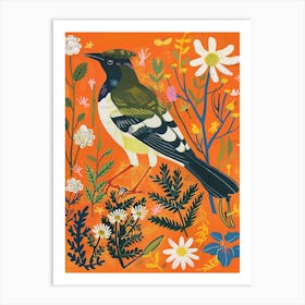 Spring Birds Magpie 2 Art Print