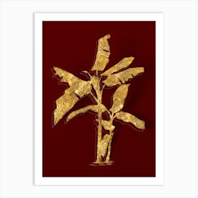 Vintage Scarlet Banana Botanical in Gold on Red n.0186 Art Print