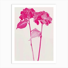 Hot Pink Hydrangea 1 Art Print