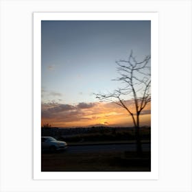 Sunset In Johannesburg Art Print