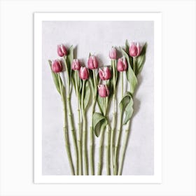 Pink Tulips Flatlay Art Print