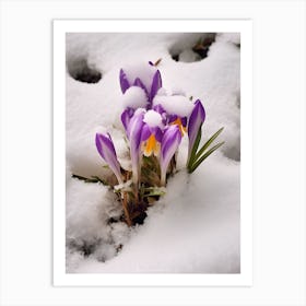 Beautiful Winter Flowers 42 Art Print