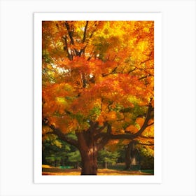 Autumn Tree In The Park Art Print