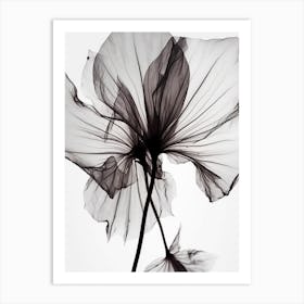 Black And White Flower Silhouette Art Print