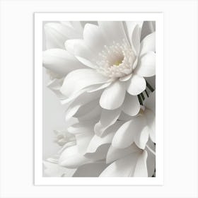 White Flowers Canvas Print Art Print