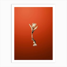 Gold Botanical Spring Meadow Saffron on Tomato Red n.0215 Art Print